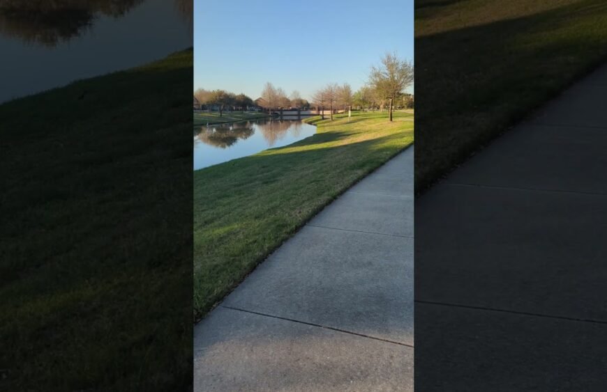 Evening walk around lake