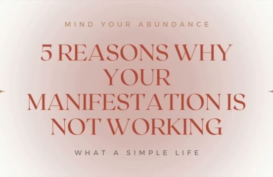 5 reason of why manifestation is not working